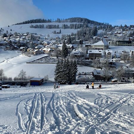 Haus Am Sonnenberg,Todtnauberg, Ferienwohnung 002, Direkt Am Skilift-Skipiste, Naehe Feldberg Εξωτερικό φωτογραφία