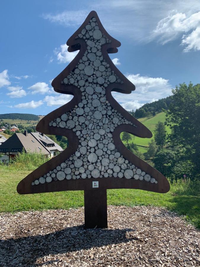 Haus Am Sonnenberg,Todtnauberg, Ferienwohnung 002, Direkt Am Skilift-Skipiste, Naehe Feldberg Εξωτερικό φωτογραφία