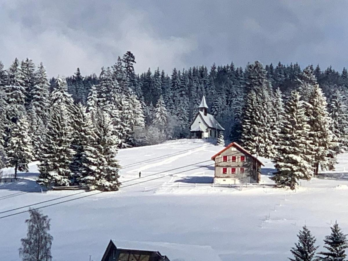 Haus Am Sonnenberg,Todtnauberg, Ferienwohnung 002, Direkt Am Skilift-Skipiste, Naehe Feldberg Εξωτερικό φωτογραφία